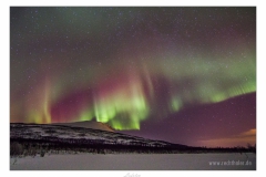 Lofoten