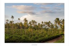Zanzibar